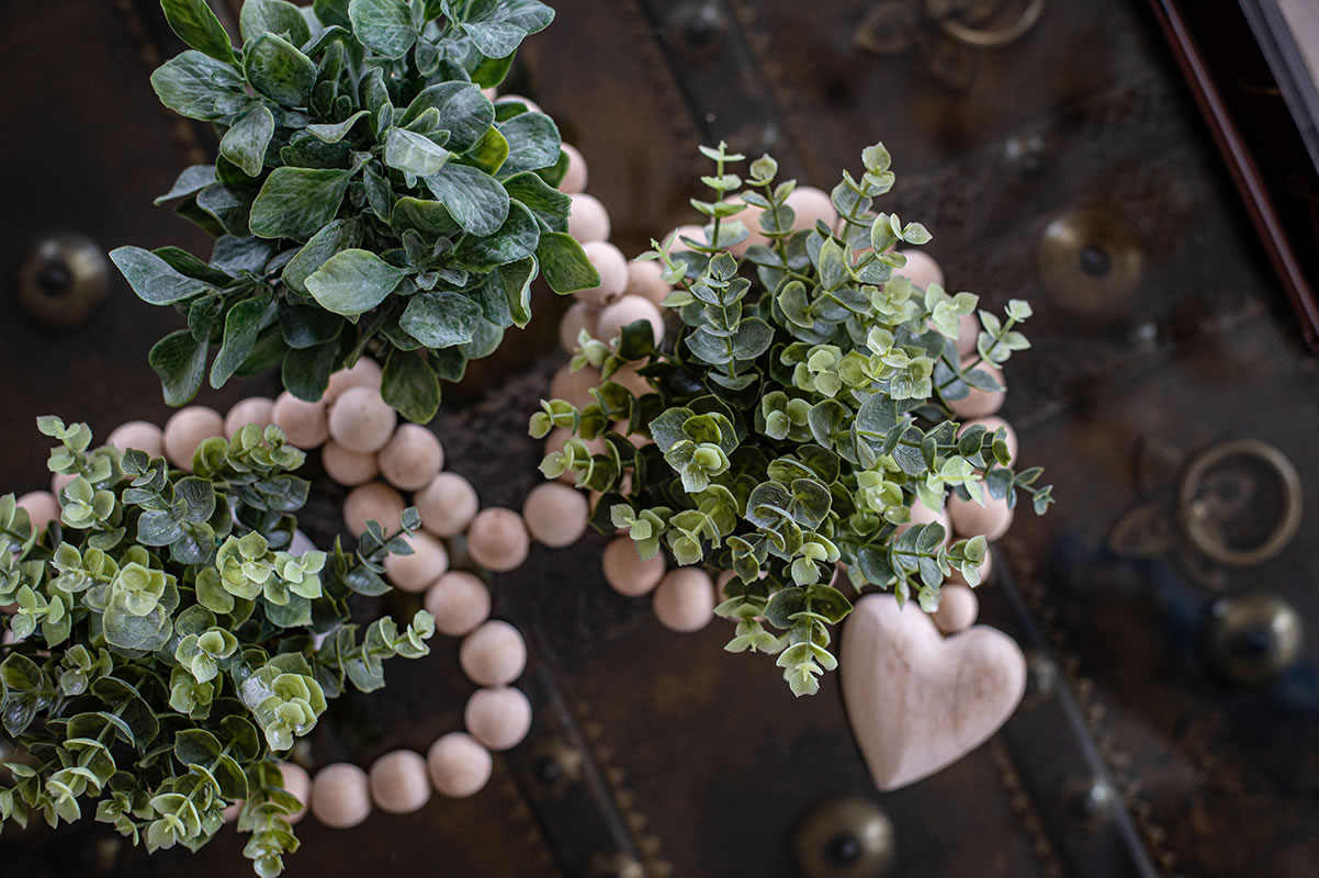 top view, accessorising plants