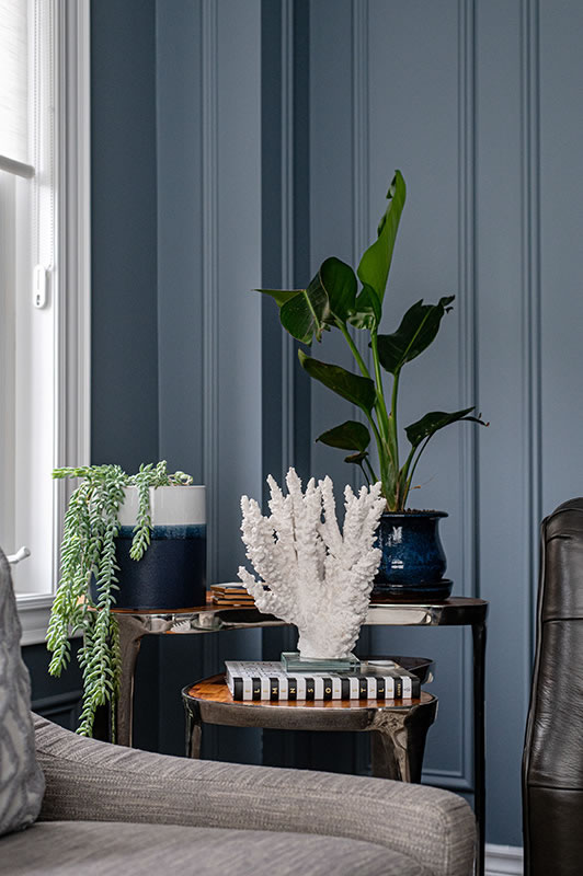 sitting room detail of plants