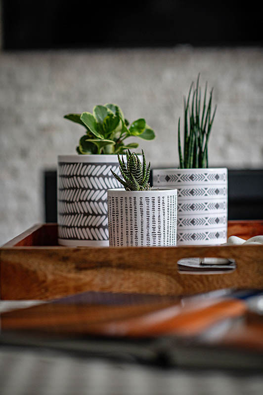 accessory plant detail