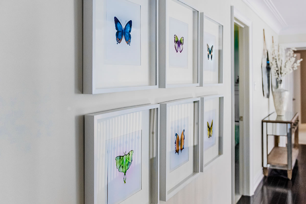 butterfly artwork on walls