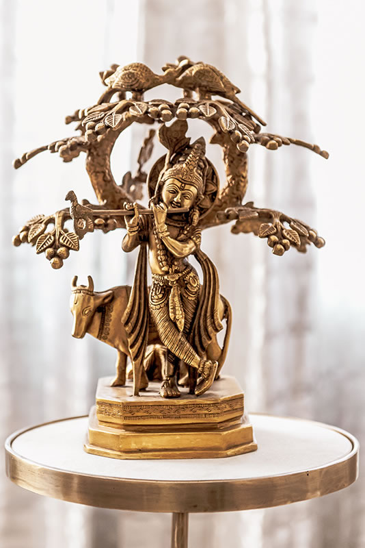 sitting room pillow and blanket close up