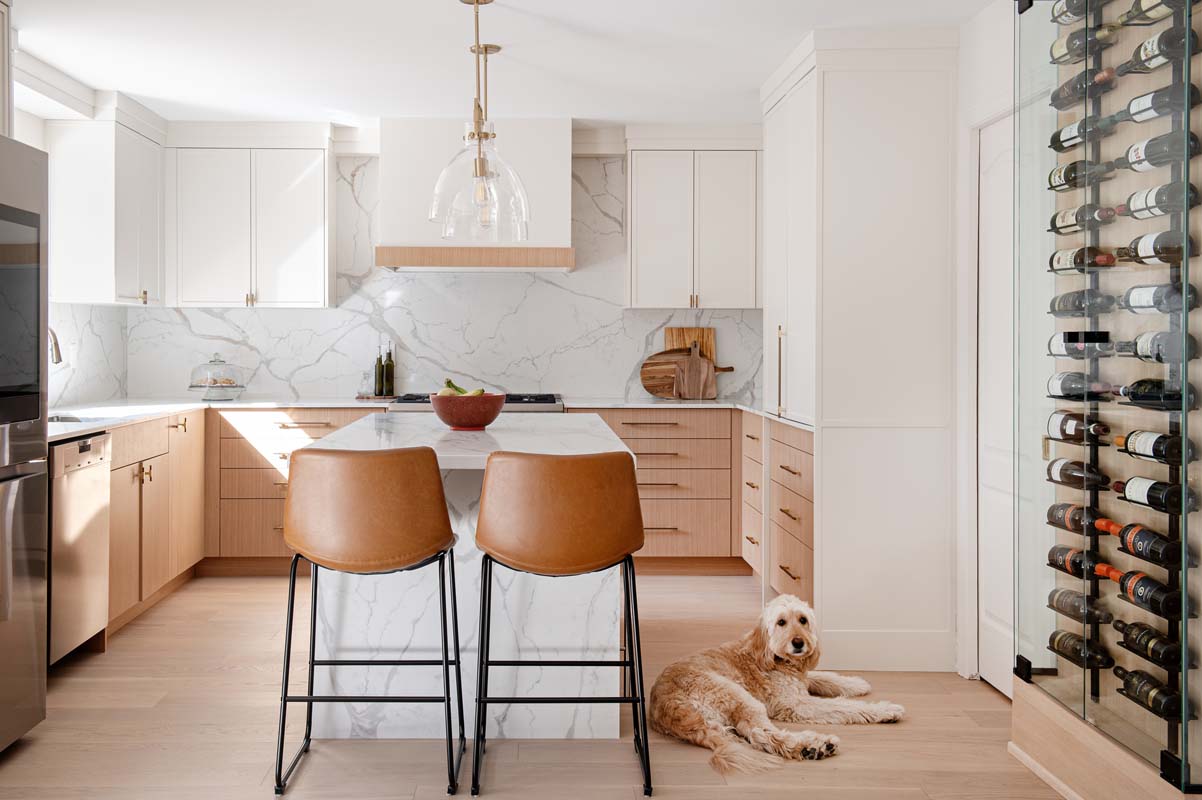 kitchen, dog sitting on floor