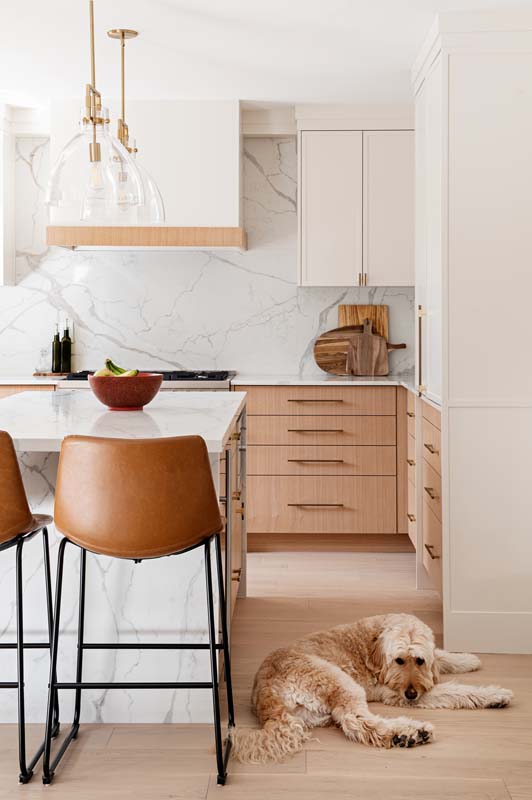 kitchen, dog on floor